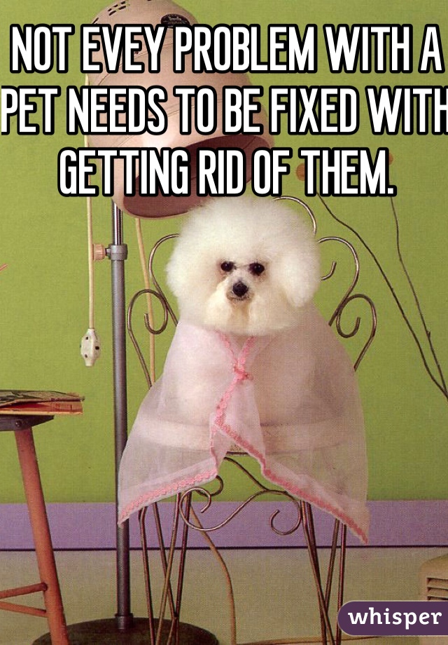 NOT EVEY PROBLEM WITH A PET NEEDS TO BE FIXED WITH GETTING RID OF THEM. 