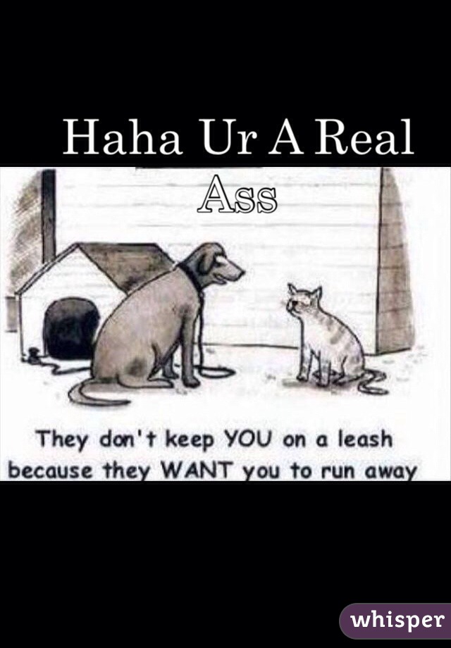 Haha Ur A Real Ass 