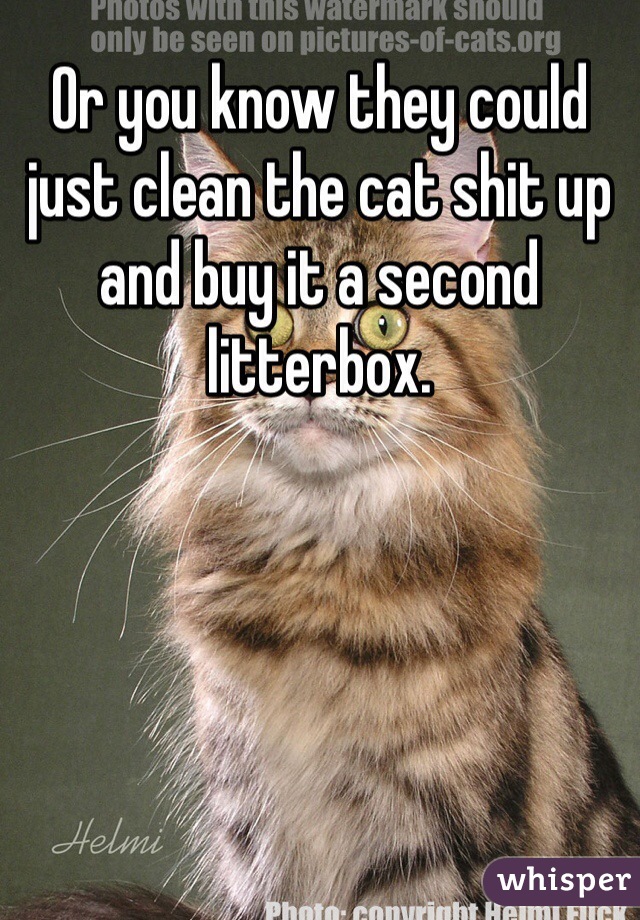 Or you know they could just clean the cat shit up and buy it a second litterbox.