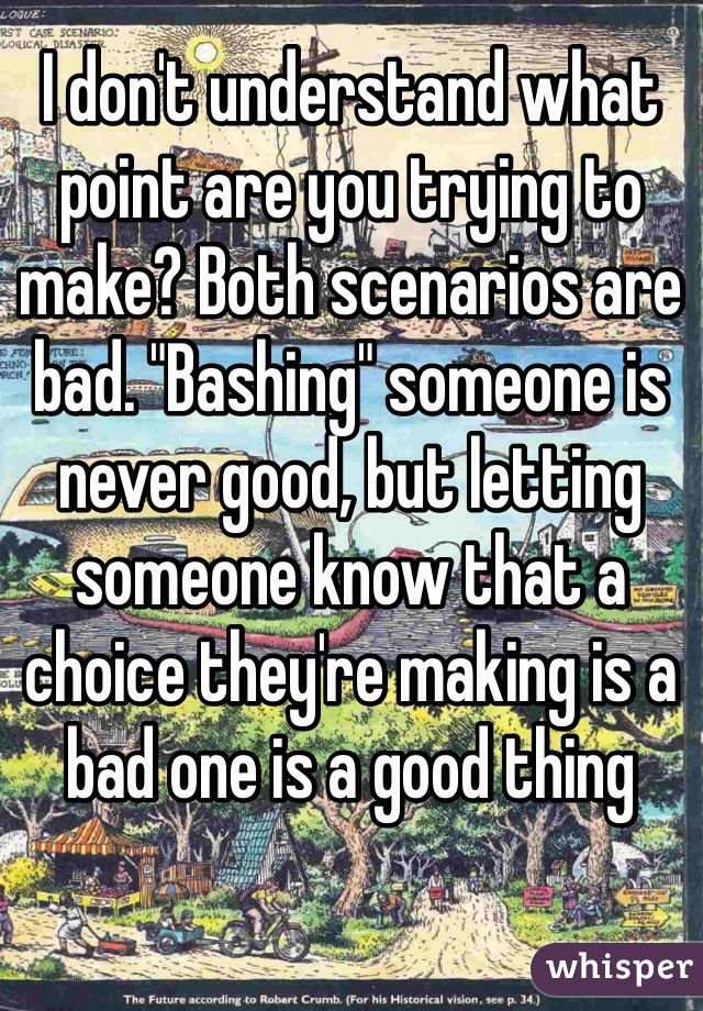 I don't understand what point are you trying to make? Both scenarios are bad. "Bashing" someone is never good, but letting someone know that a choice they're making is a bad one is a good thing