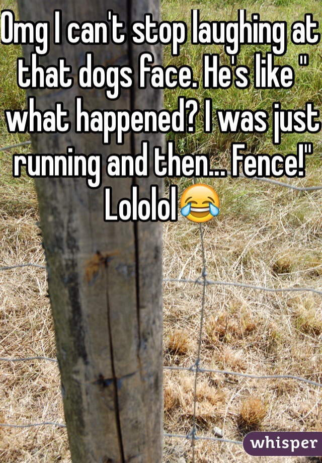 Omg I can't stop laughing at that dogs face. He's like " what happened? I was just running and then... Fence!" Lololol😂