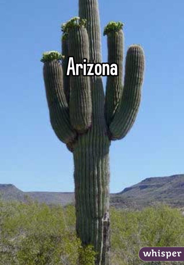 Arizona