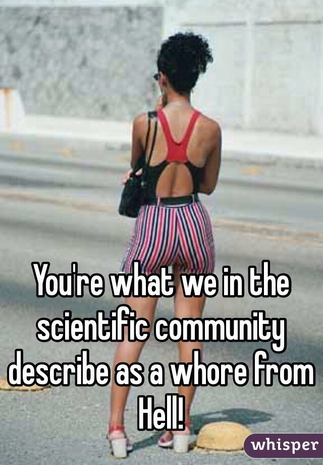 You're what we in the scientific community describe as a whore from Hell!
