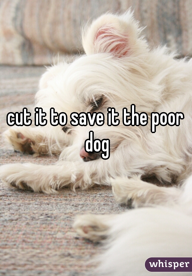 cut it to save it the poor dog