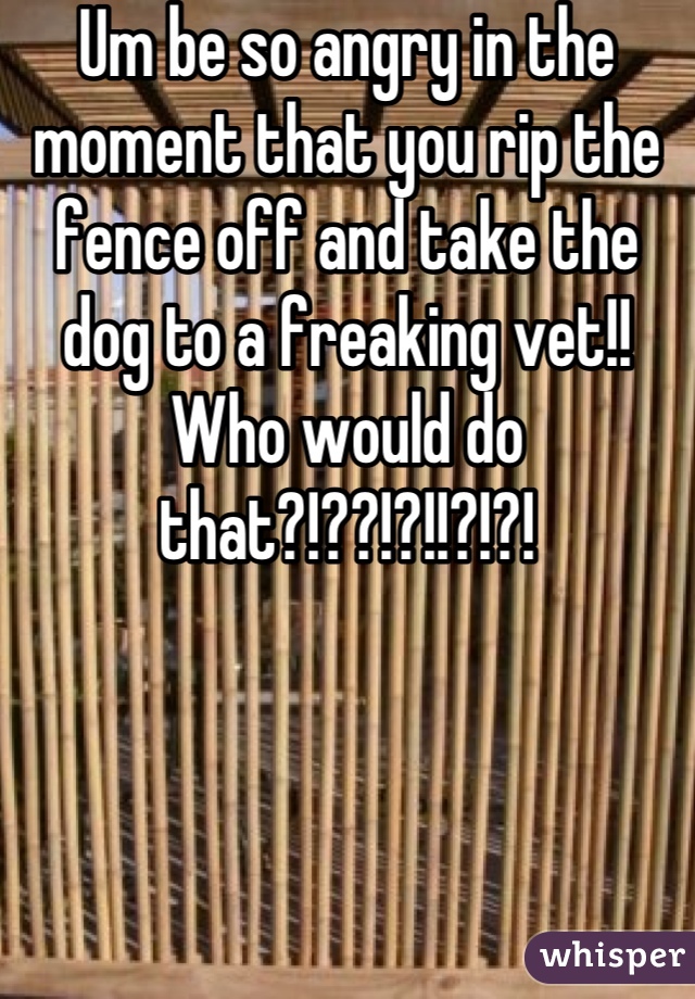 Um be so angry in the moment that you rip the fence off and take the dog to a freaking vet!! Who would do that?!??!?!!?!?!