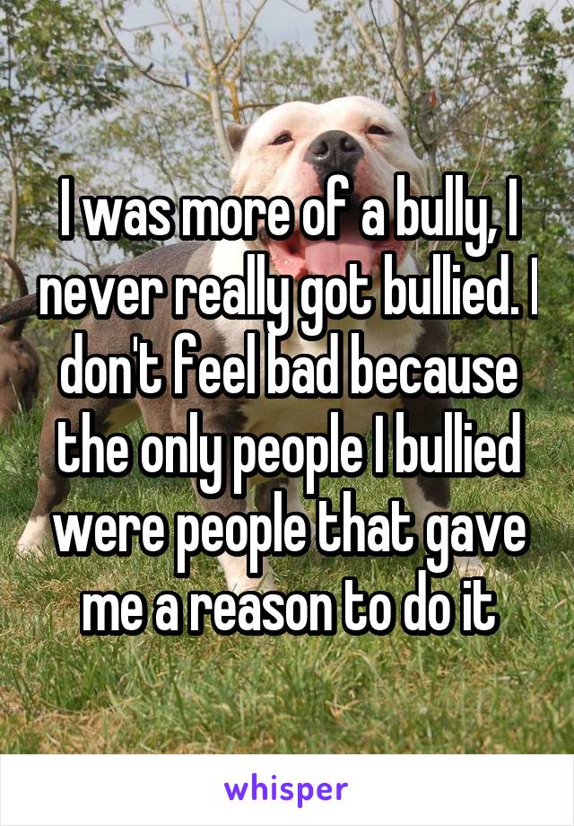 I was more of a bully, I never really got bullied. I don't feel bad because the only people I bullied were people that gave me a reason to do it