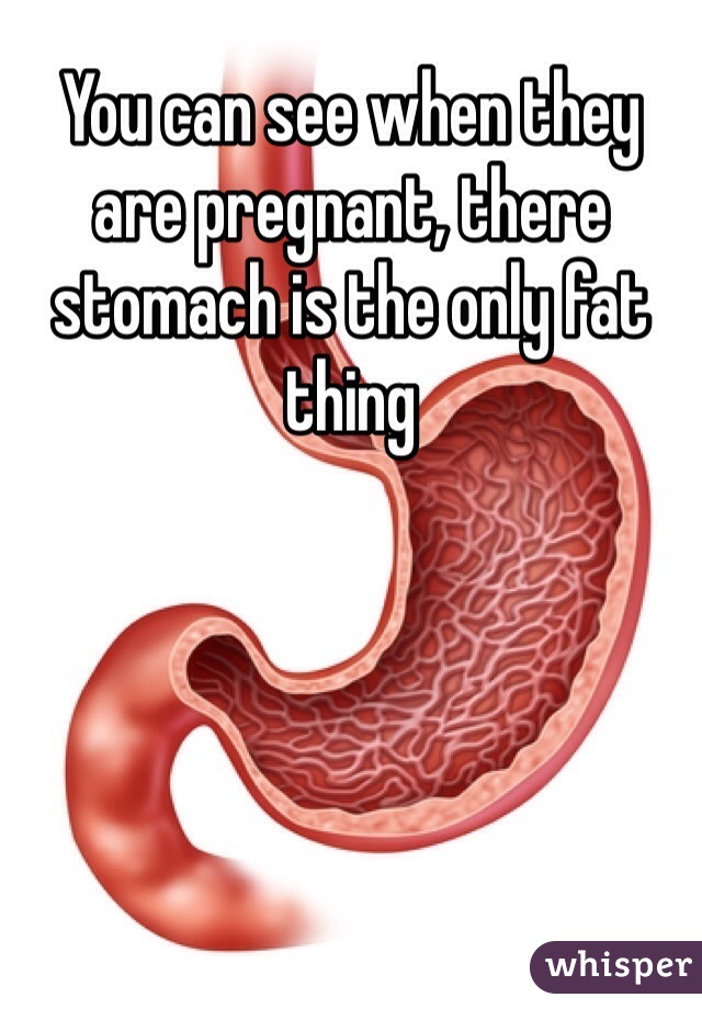 You can see when they are pregnant, there stomach is the only fat thing