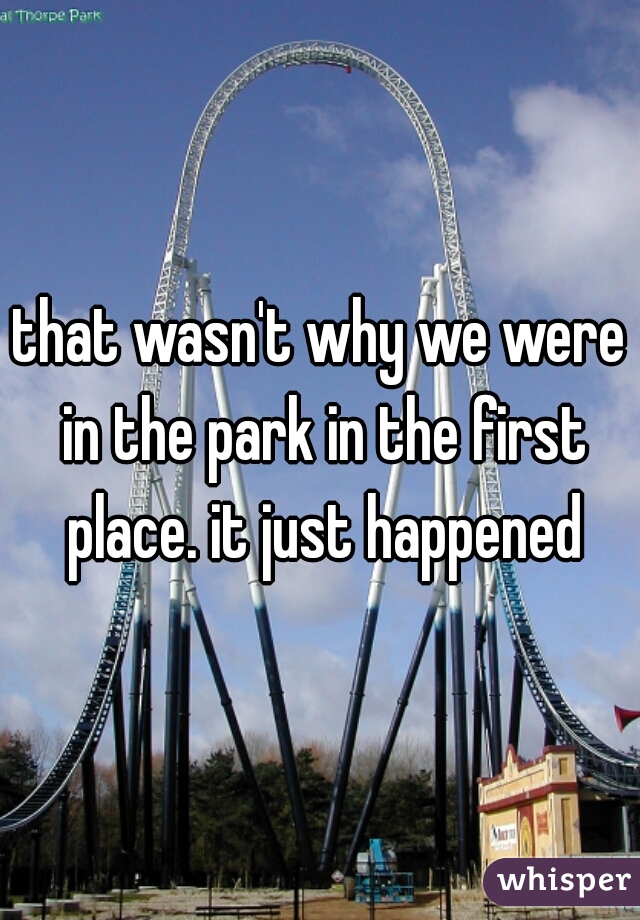 that wasn't why we were in the park in the first place. it just happened