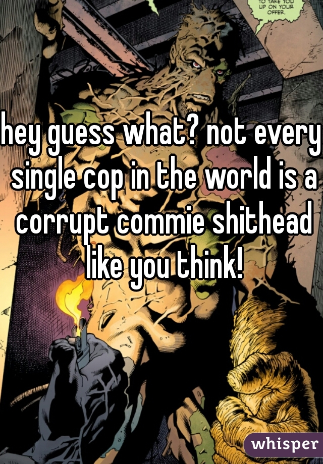 hey guess what? not every single cop in the world is a corrupt commie shithead like you think!