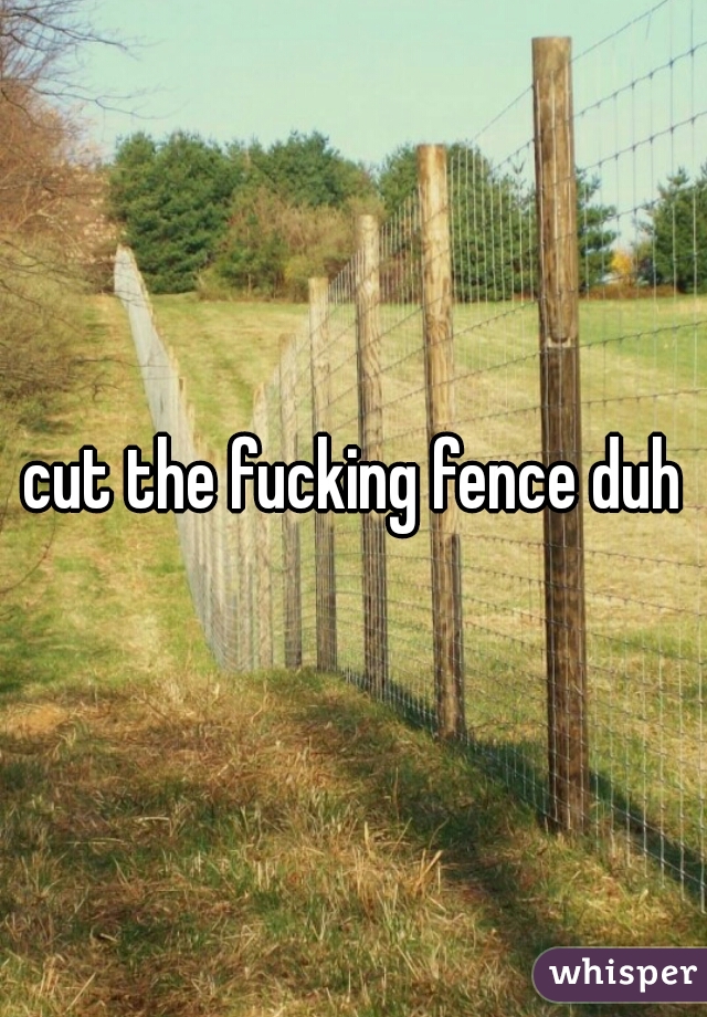 cut the fucking fence duh