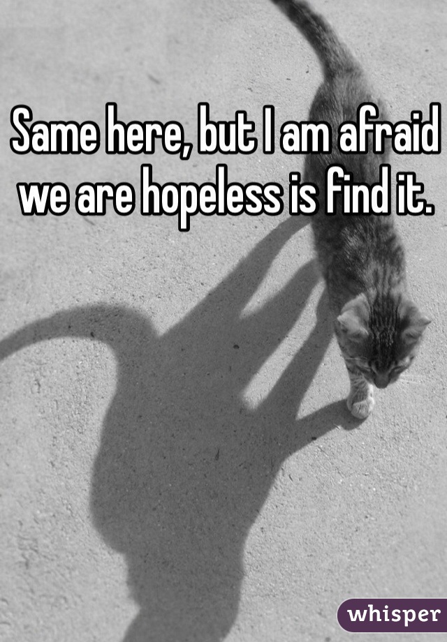 Same here, but I am afraid we are hopeless is find it.