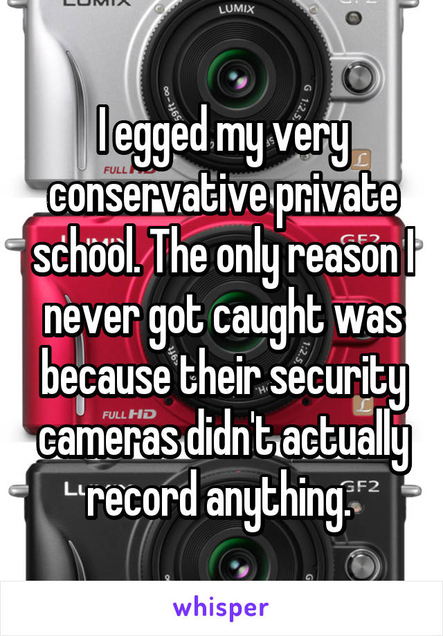 I egged my very conservative private school. The only reason I never got caught was because their security cameras didn't actually record anything. 