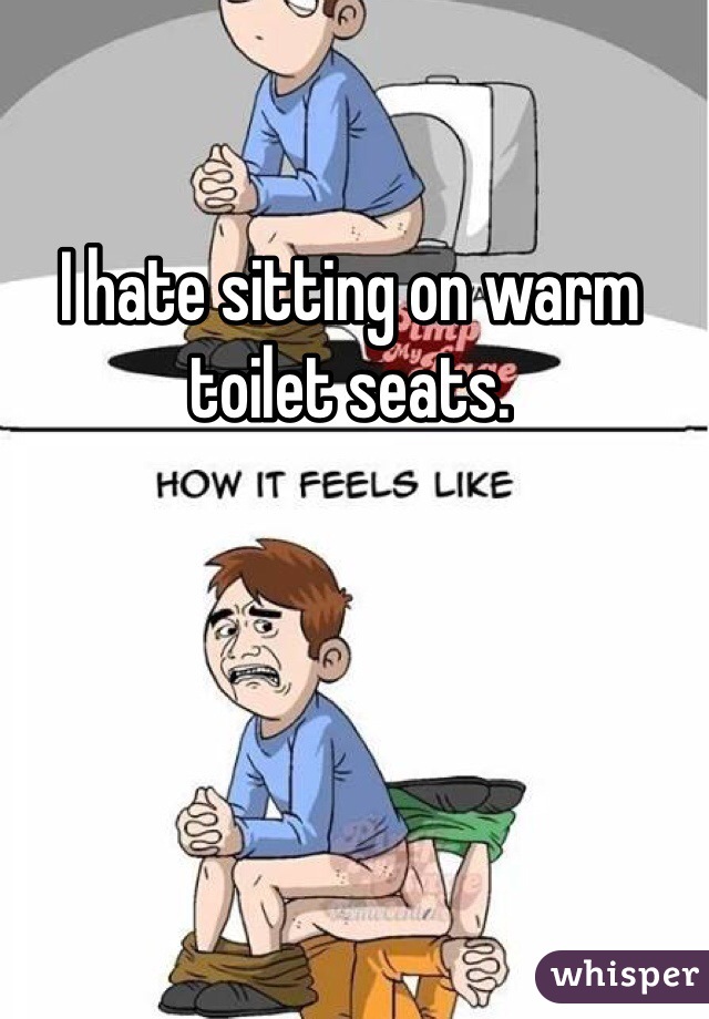 I hate sitting on warm toilet seats.