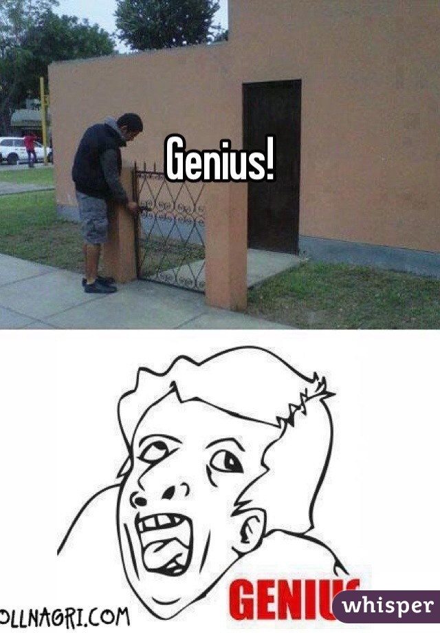 Genius!