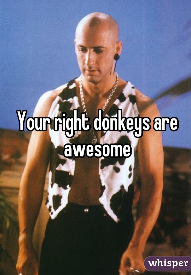 Your right donkeys are awesome