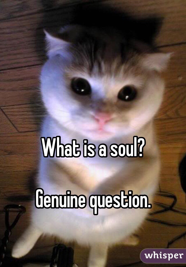 What is a soul?

Genuine question.
