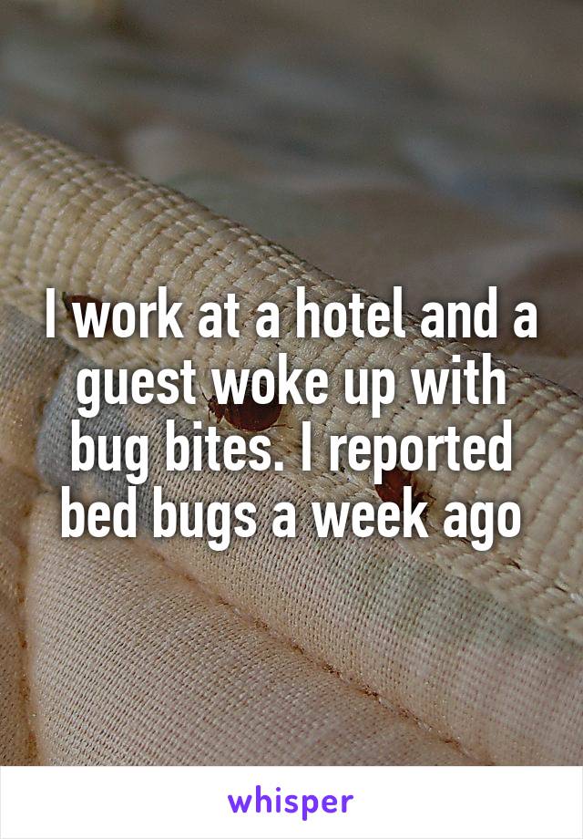 I work at a hotel and a guest woke up with bug bites. I reported bed bugs a week ago