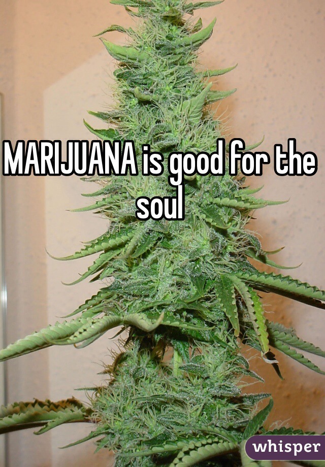 MARIJUANA is good for the soul