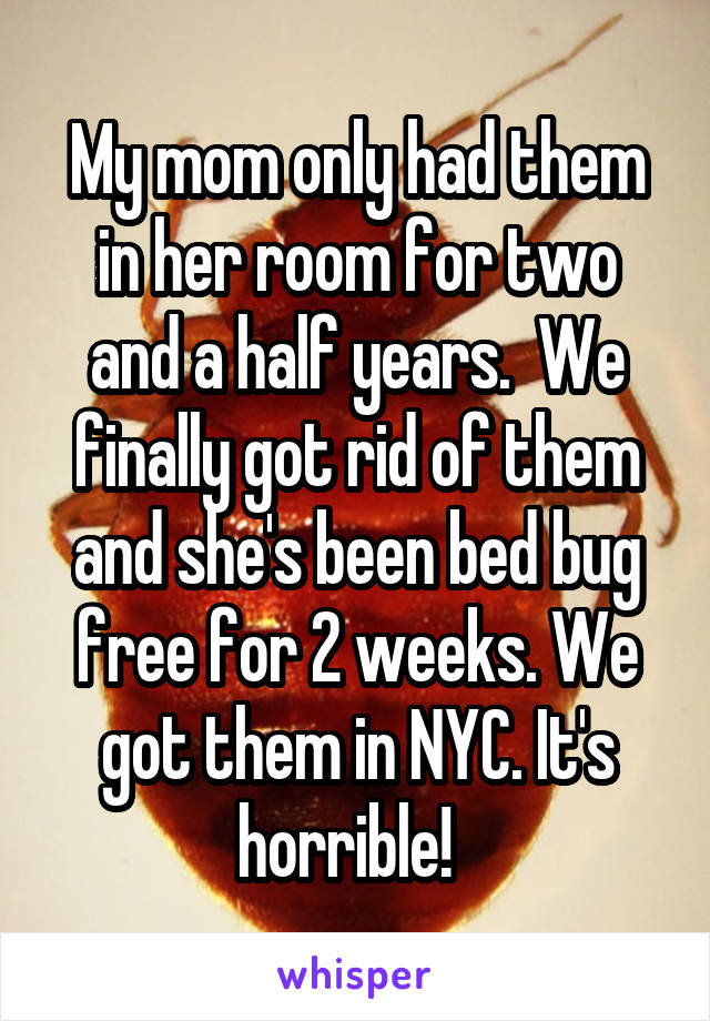 My mom only had them in her room for two and a half years.  We finally got rid of them and she's been bed bug free for 2 weeks. We got them in NYC. It's horrible!  