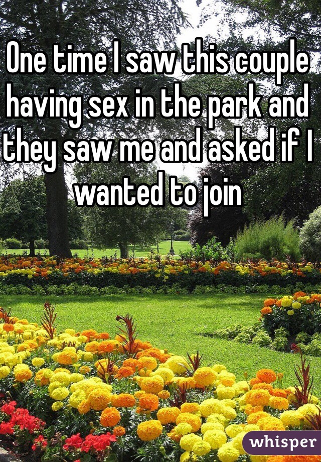 One time I saw this couple having sex in the park and they saw me and asked if I wanted to join 

