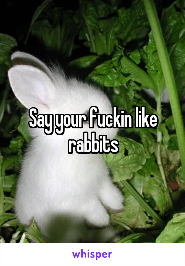 Say your fuckin like rabbits