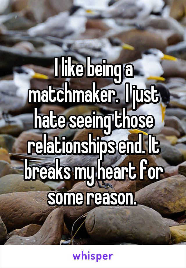 I like being a matchmaker.  I just hate seeing those relationships end. It breaks my heart for some reason. 