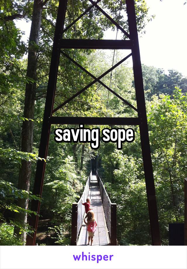 saving sope