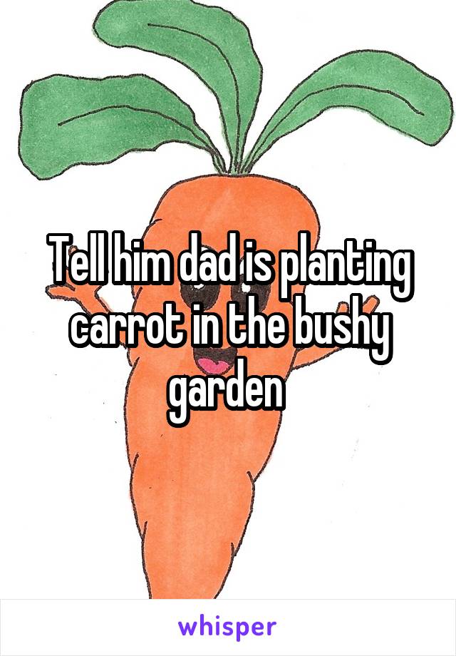 Tell him dad is planting carrot in the bushy garden 