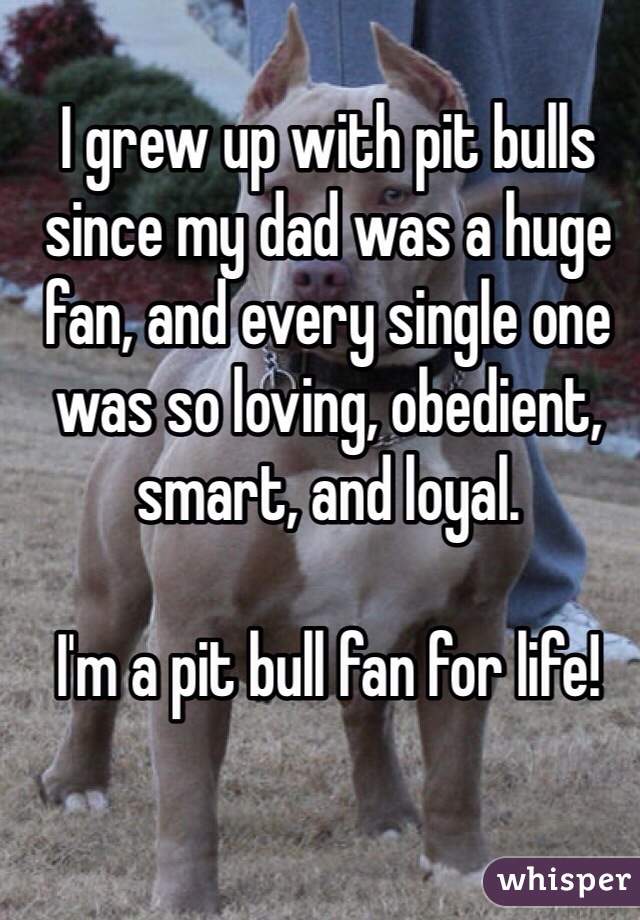 I grew up with pit bulls since my dad was a huge fan, and every single one was so loving, obedient, smart, and loyal. 

I'm a pit bull fan for life!