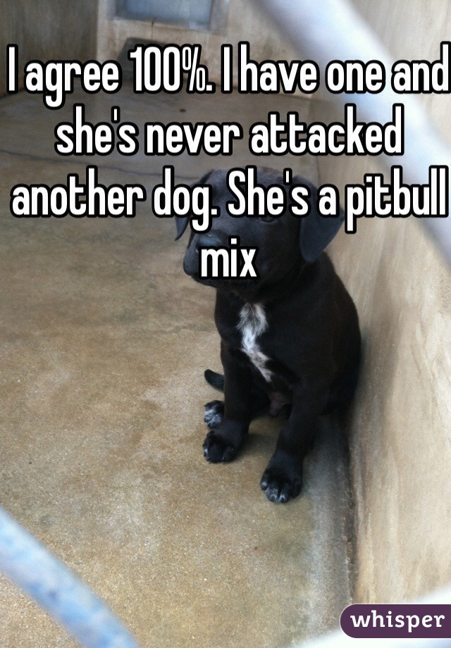 I agree 100%. I have one and she's never attacked another dog. She's a pitbull mix