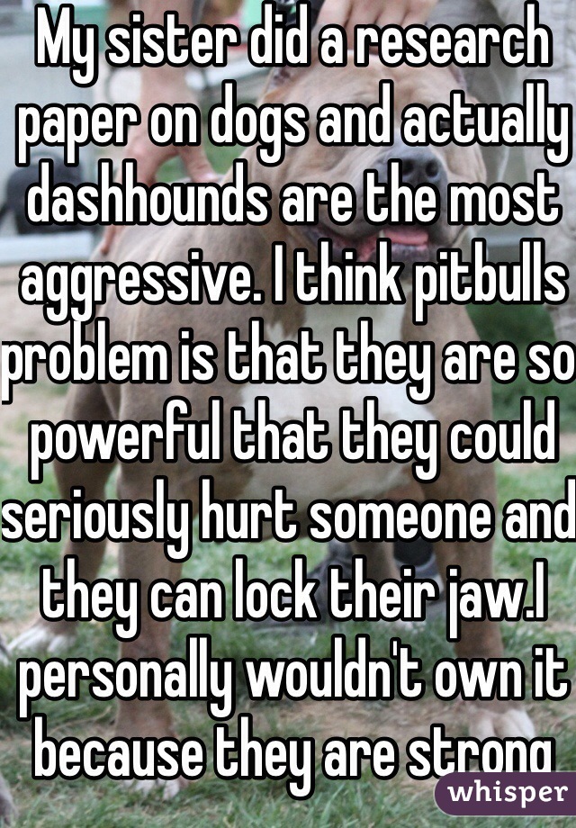 My sister did a research paper on dogs and actually dashhounds are the most aggressive. I think pitbulls  problem is that they are so powerful that they could seriously hurt someone and they can lock their jaw.I personally wouldn't own it because they are strong 