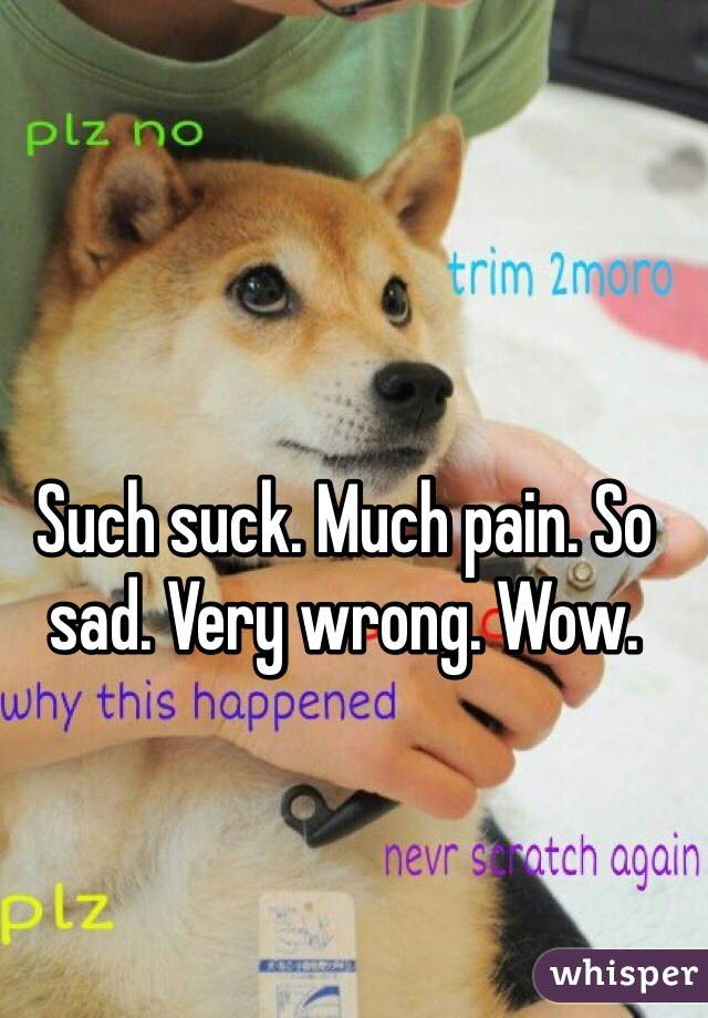 Such suck. Much pain. So sad. Very wrong. Wow. 