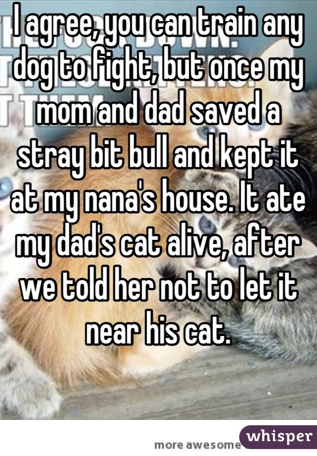 I agree, you can train any dog to fight, but once my mom and dad saved a stray bit bull and kept it at my nana's house. It ate my dad's cat alive, after we told her not to let it near his cat.