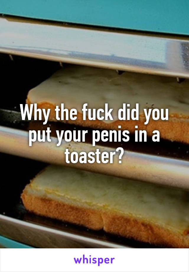 Why the fuck did you put your penis in a toaster?