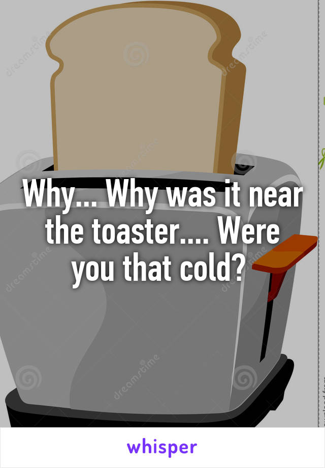 Why... Why was it near the toaster.... Were you that cold? 