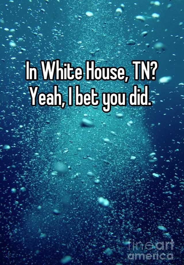 in-white-house-tn-yeah-i-bet-you-did