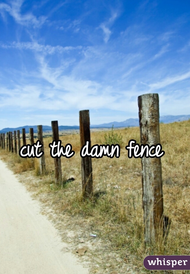 cut the damn fence
