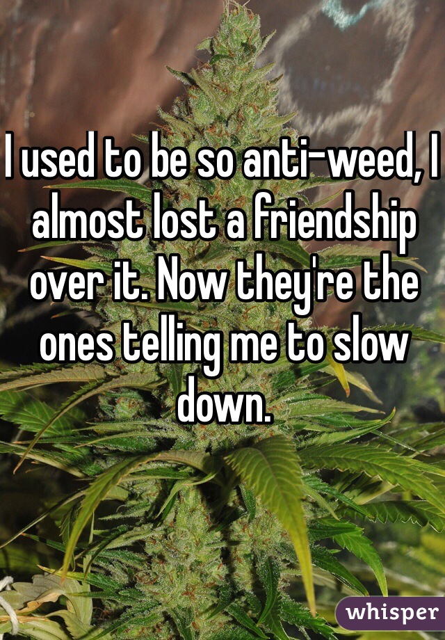 I used to be so anti-weed, I almost lost a friendship over it. Now they're the ones telling me to slow down. 