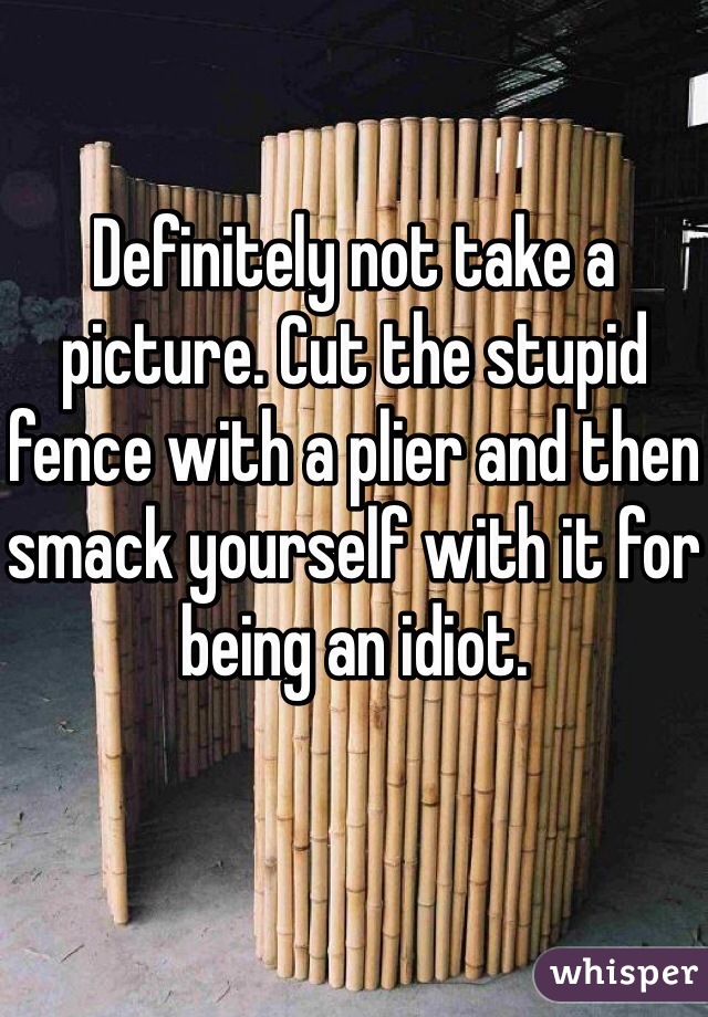 Definitely not take a picture. Cut the stupid fence with a plier and then smack yourself with it for being an idiot. 