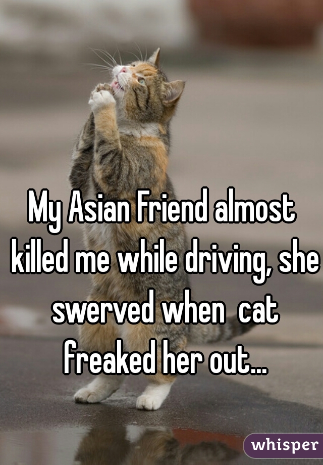 My Asian Friend almost killed me while driving, she swerved when  cat freaked her out...