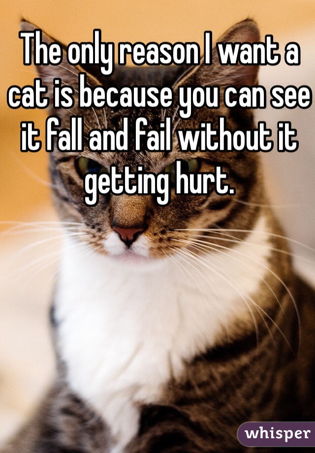 The only reason I want a cat is because you can see it fall and fail without it getting hurt. 