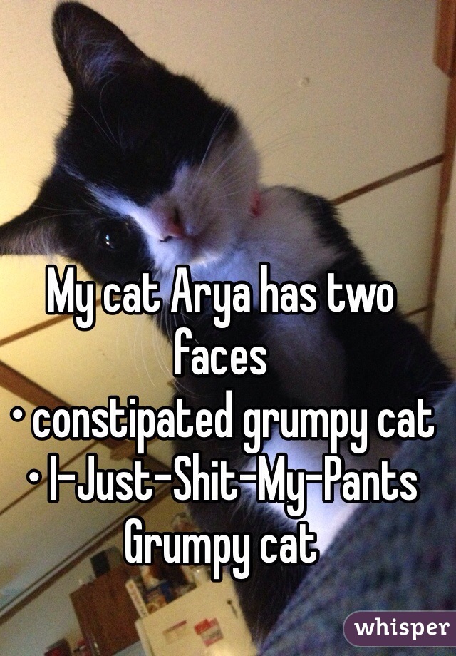My cat Arya has two faces 
• constipated grumpy cat
• I-Just-Shit-My-Pants Grumpy cat 
