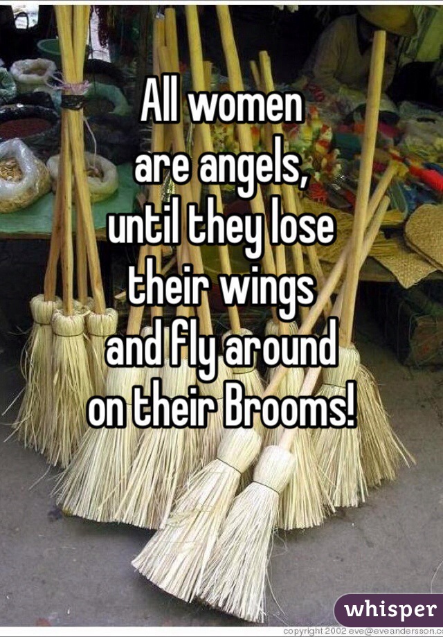 All women
are angels,
until they lose
their wings
and fly around
on their Brooms!