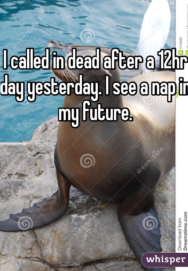 I called in dead after a 12hr day yesterday. I see a nap in my future. 