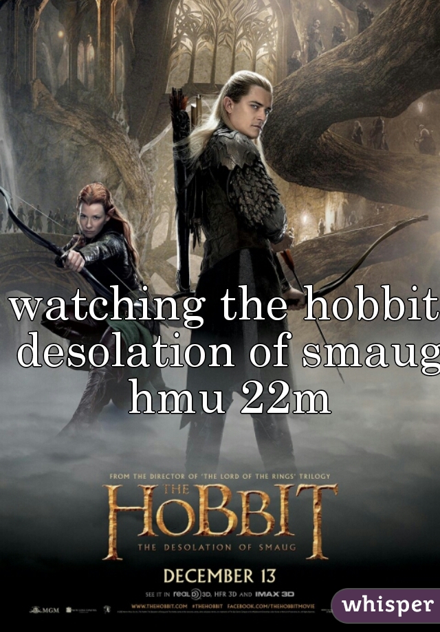 watching the hobbit desolation of smaug hmu 22m