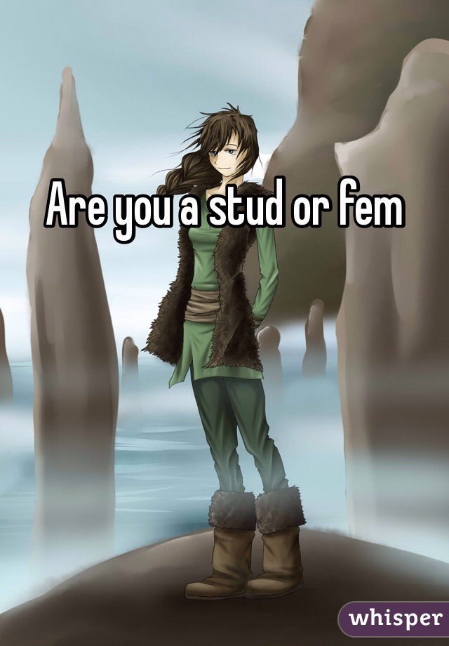 Are you a stud or fem 