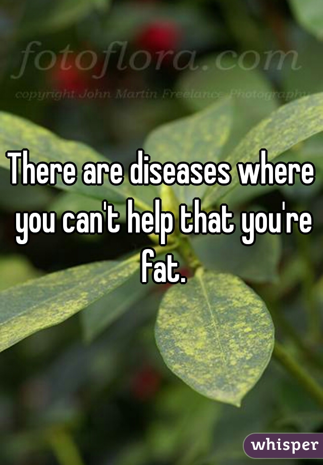 There are diseases where you can't help that you're fat.