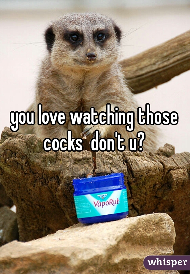 you love watching those cocks  don't u? 