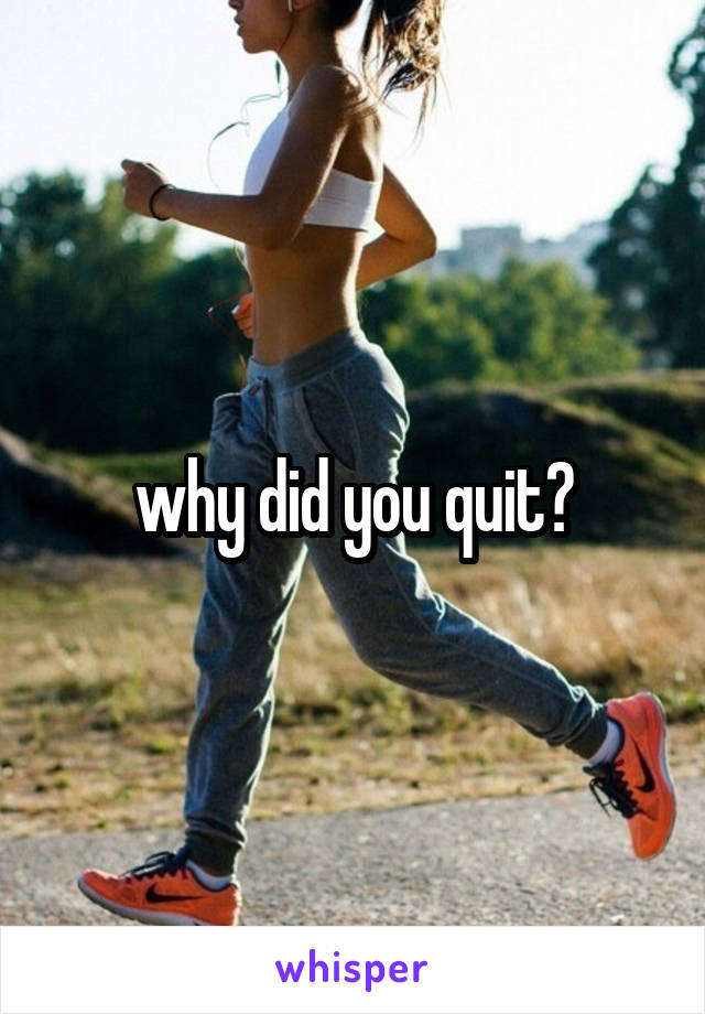 why did you quit?