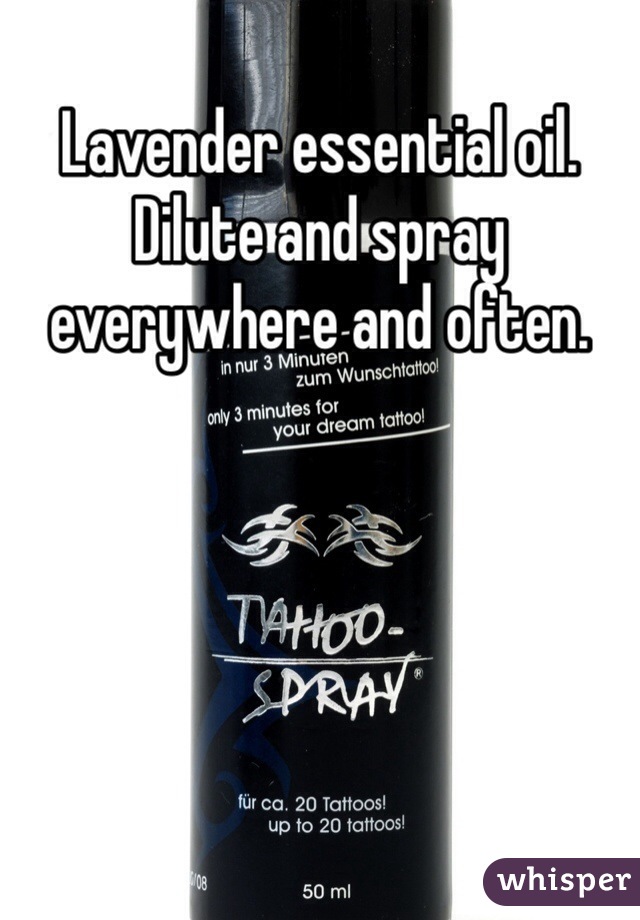Lavender essential oil.  Dilute and spray everywhere and often. 